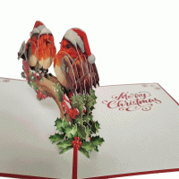pop-up kerst vogels kaart
